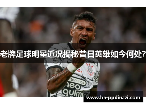 老牌足球明星近况揭秘昔日英雄如今何处？