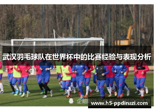 武汉羽毛球队在世界杯中的比赛经验与表现分析